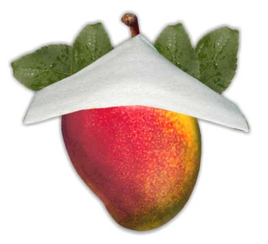 Mango Protective Cap